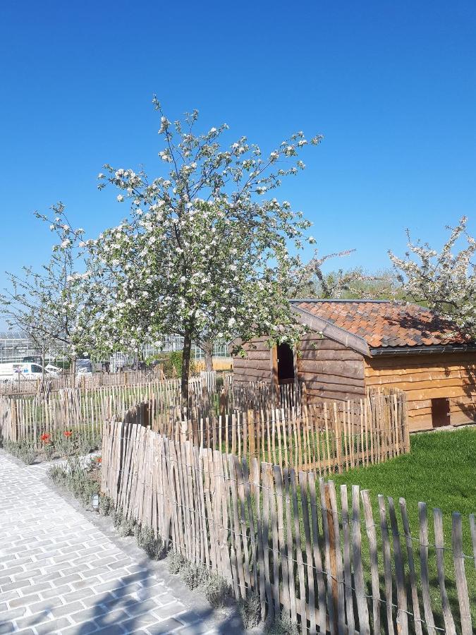 De Bonderbei Bed and Breakfast Wellen Εξωτερικό φωτογραφία